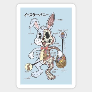 EASTER BUNNY ANATOMY Sticker